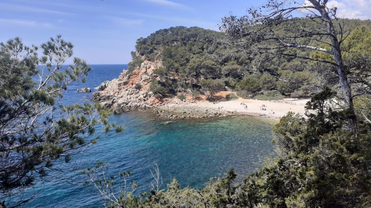 BANDOL Maison de Campagne Extérieur photo